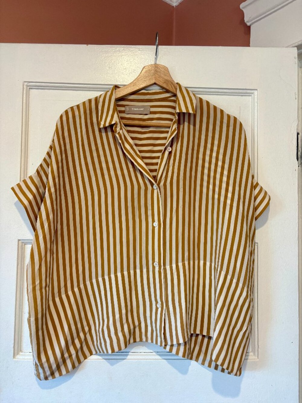 Everlane 100% Silk Boxy Shirt